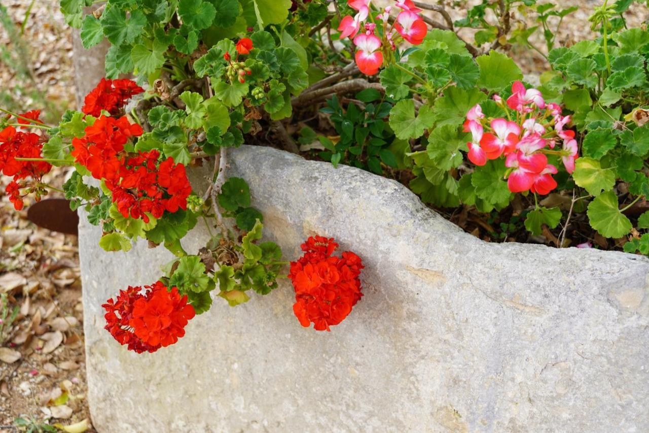 Bed and Breakfast Casina Mozart Lecce Magliano Екстер'єр фото
